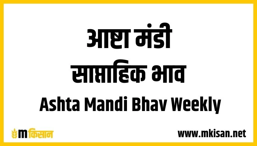 ashta mandi bhav weekly 1