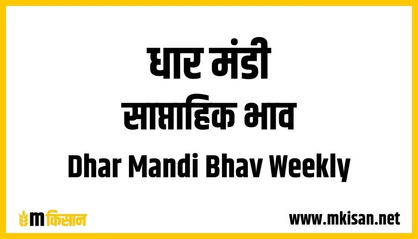 dhar-mandi-bhav-weekly