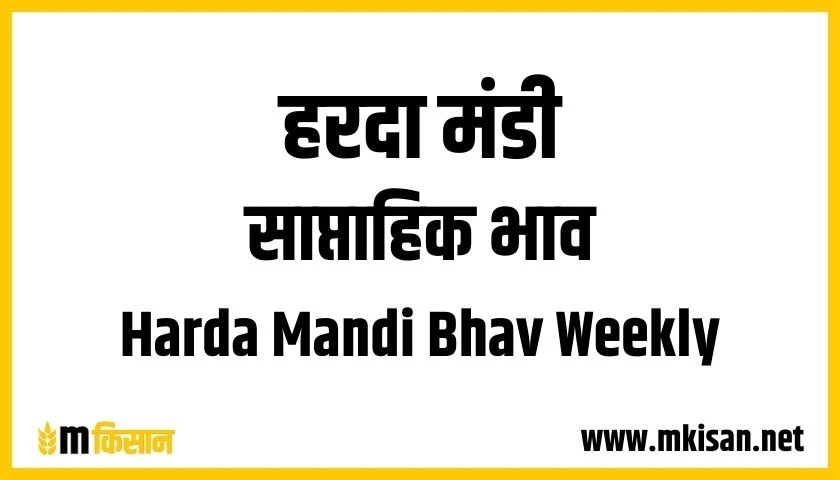 harda-mandi-bhav-weekly