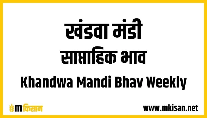 khandwa-mandi-bhav-weekly