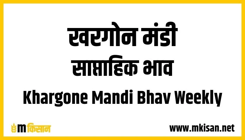 khargone-mandi-bhav-weekly