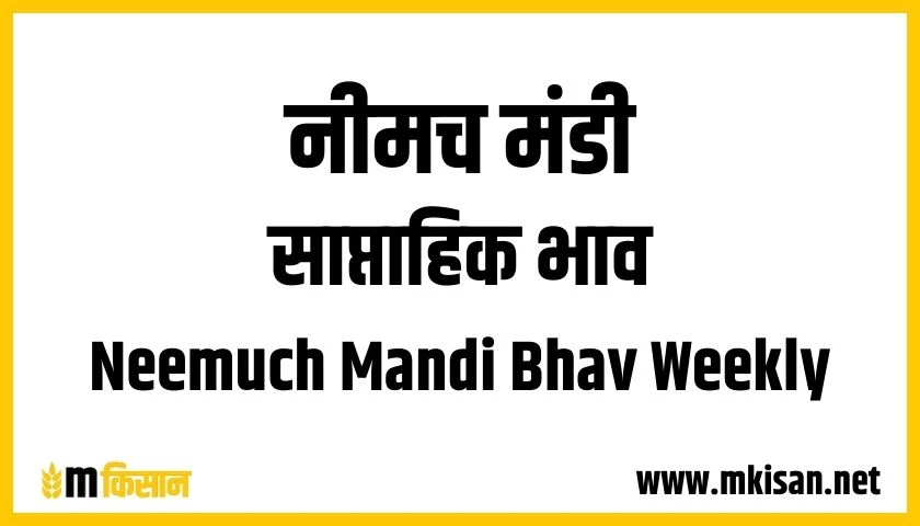 neemuch mandi bhav weekly 1