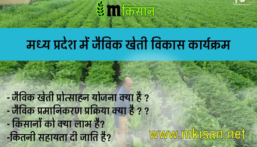 organic-farming-development-program