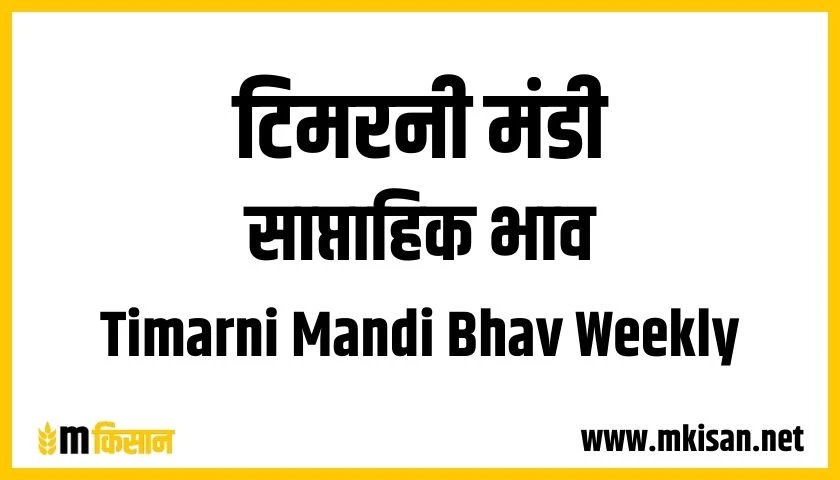 timarni mandi bhav weekly 1