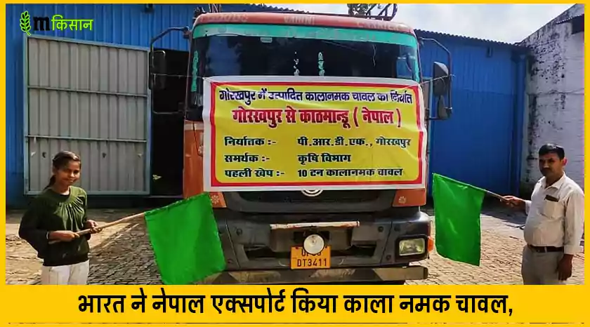 India exported black salt rice to Nepal