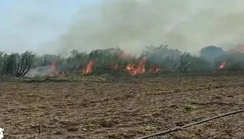 fierce-fire-in-farmer-s-sugarcane