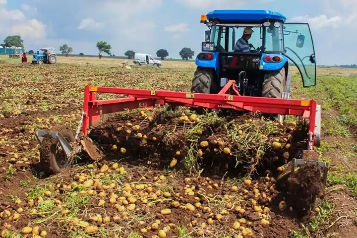 Potato-harvester-machine