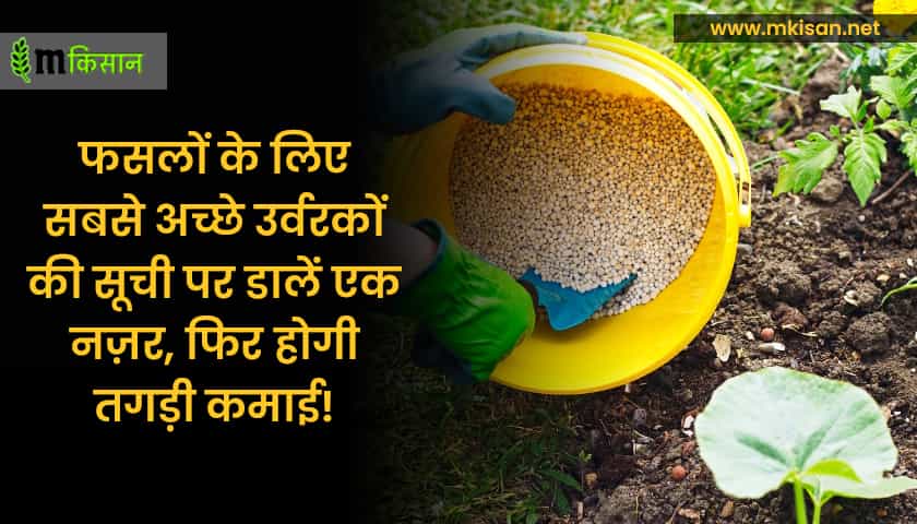 What are the best fertilizers for crops