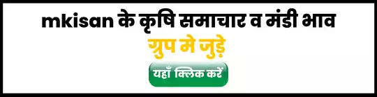 join-our-whtsapp-group-mkisan