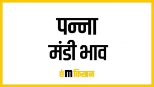 panna-mandi-bhav