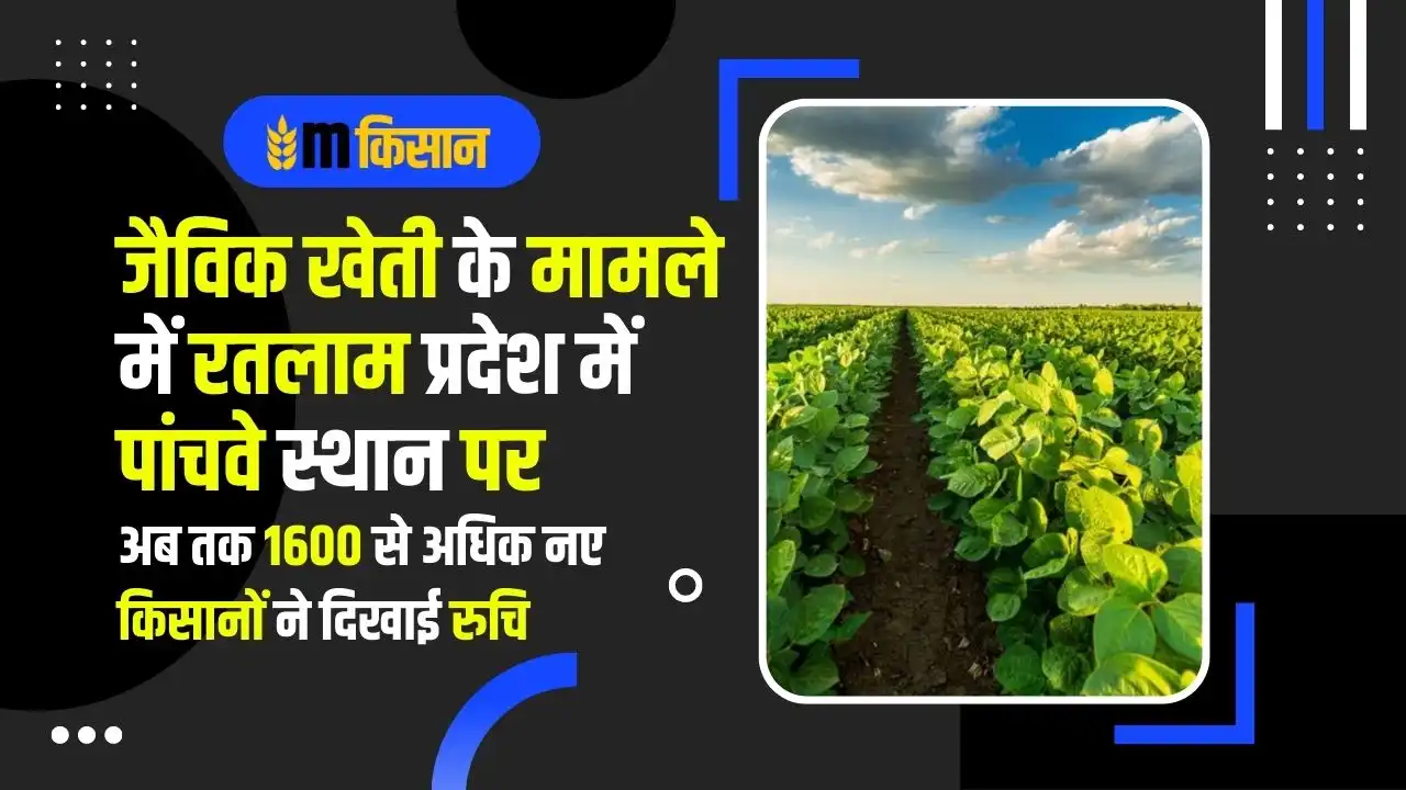 ratlam-ranked-fifth-in-the-state-in-organic-farming