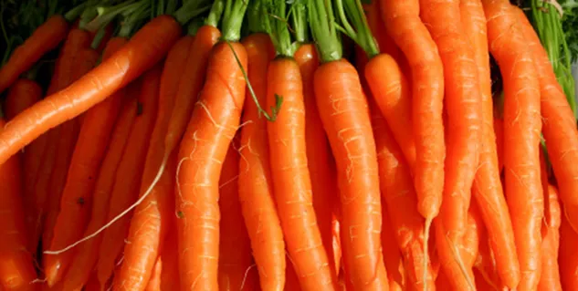 Carrot-farming