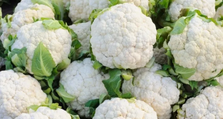 farming-of-cauliflower