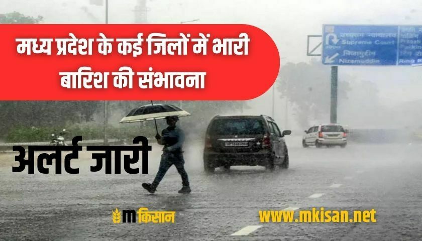 heavy-rain-likely-in-many-districts-of-mp