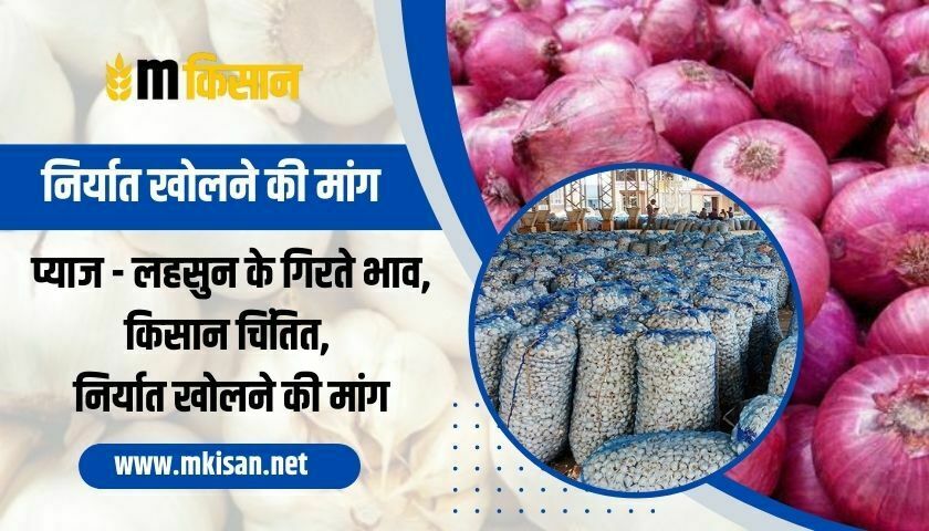 onion-garlic-demand-to-open-exports