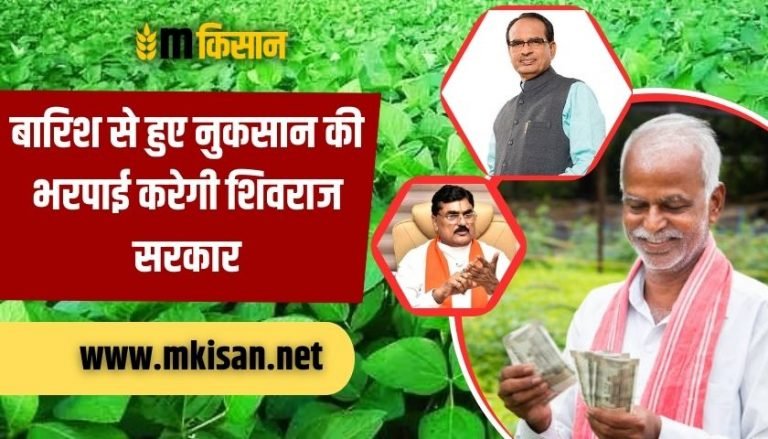 shivraj-government-will-compensate-for-the-damage-caused-by-rain