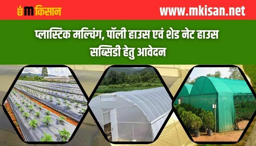 subsidy-for-plastic-mulching-poly-house-and-shade-net-house