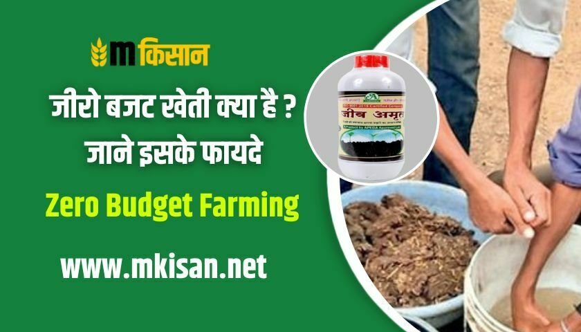 zero-budget-farming