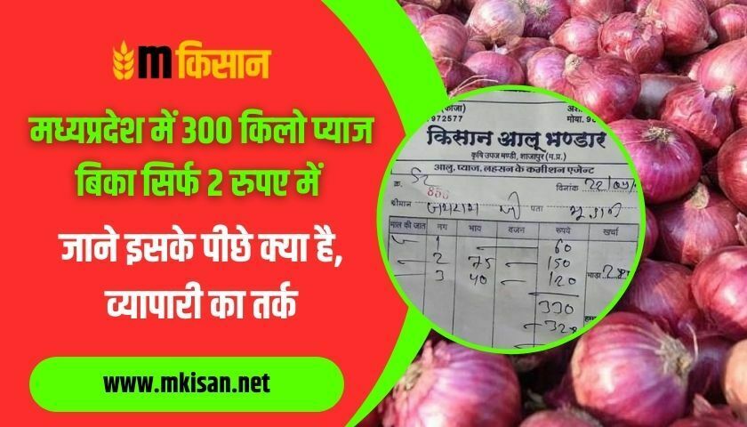 300-kg-onion-sold-in-mp-for-just-rs-2