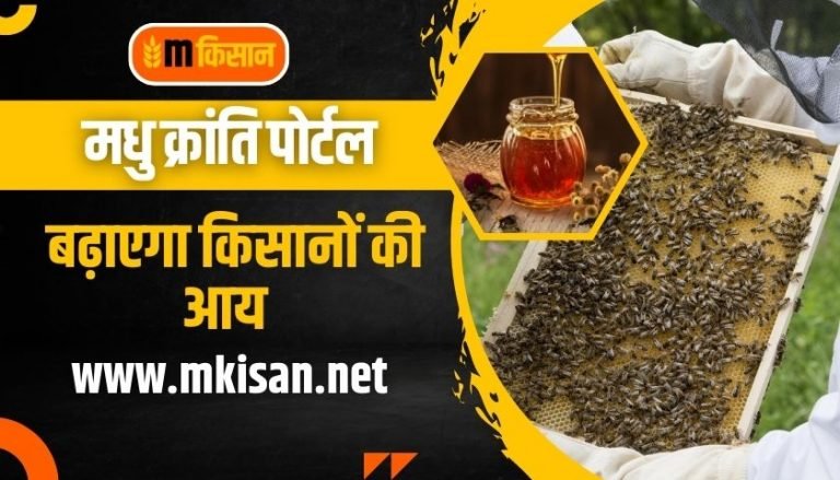 मधु क्रांति पोर्टल बढ़ाएगा किसानों की आय - Madhukranti Portal - mkisan