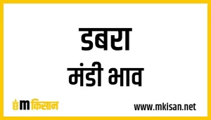 dabra-mandi-bhav