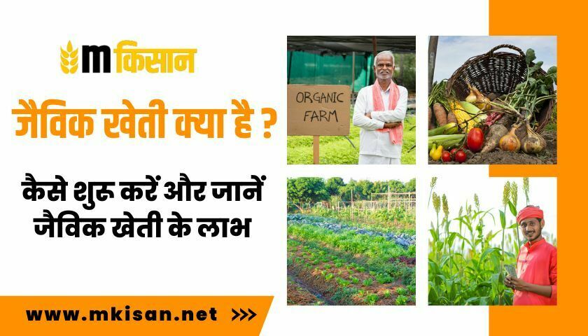 what-is-organic-farming