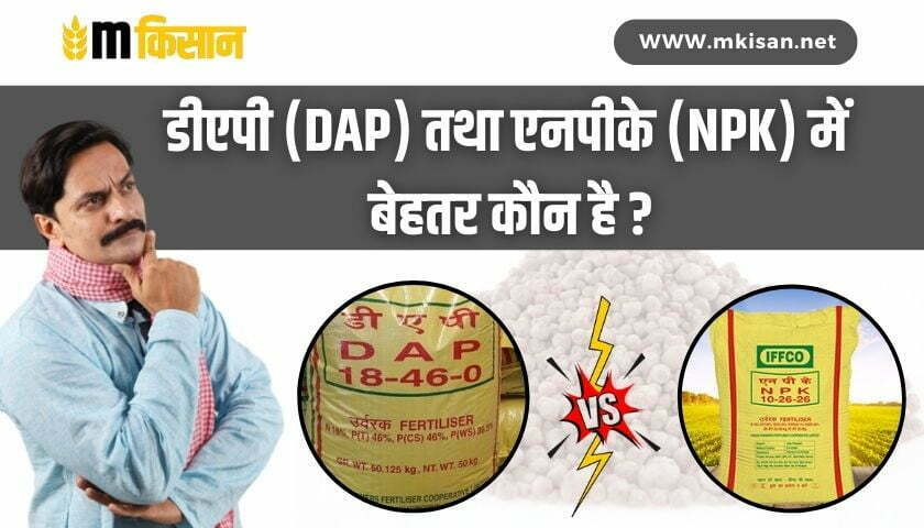 which-is-better-dap-and-npk