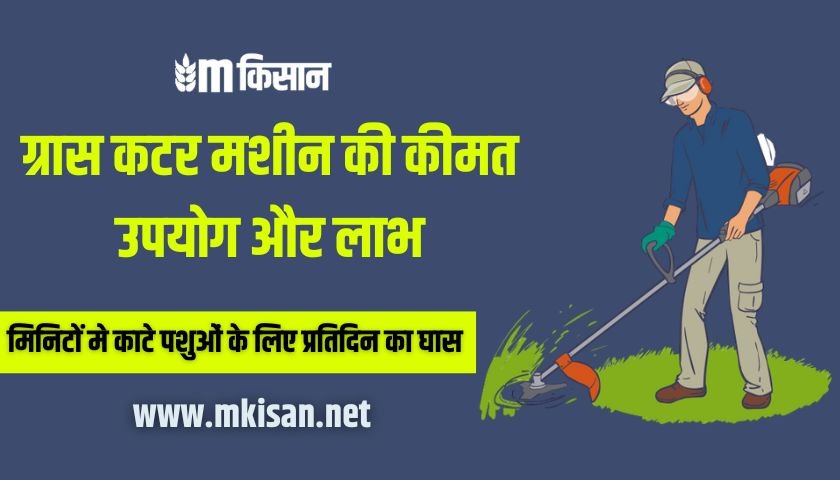 ग्रास कटर मशीन की कीमत उपयोग और लाभ - Grass Cutter Machine 2 grass-cutter-machine-price