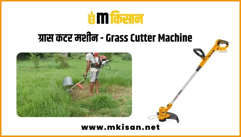 grass cutter machine