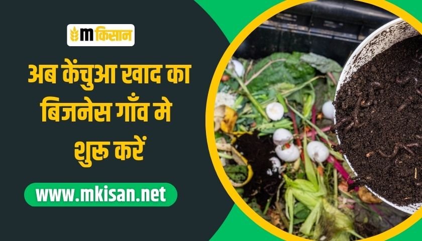 start-vermi-compost-business-in-village