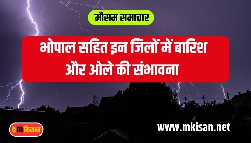chance-of-rain-in-these-districts-including-bhopal