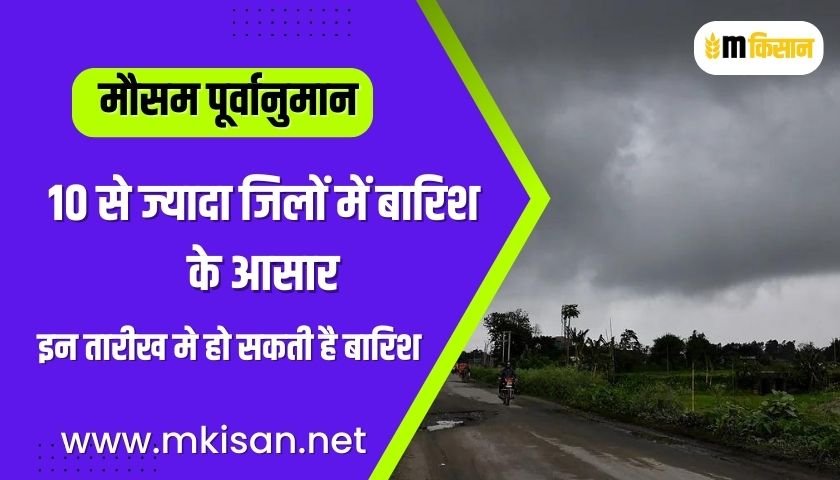 chances-of-rain-in-more-than-10-districts
