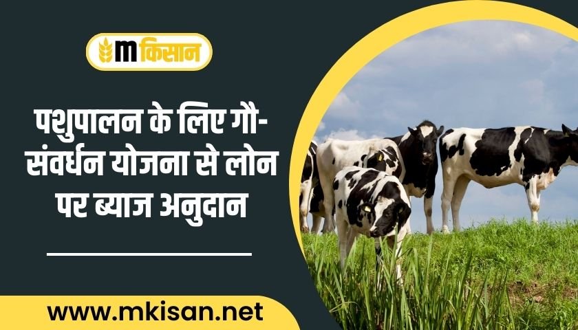 interest-subsidy-on-loan-from-gau-sanvardhan-yojana