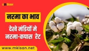 narma-bhav-today