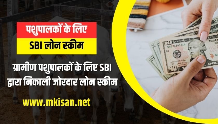 sbi-pashupalan-loan-scheme
