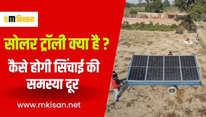 solar-trolley-will-solve-the-problem-of-irrigation