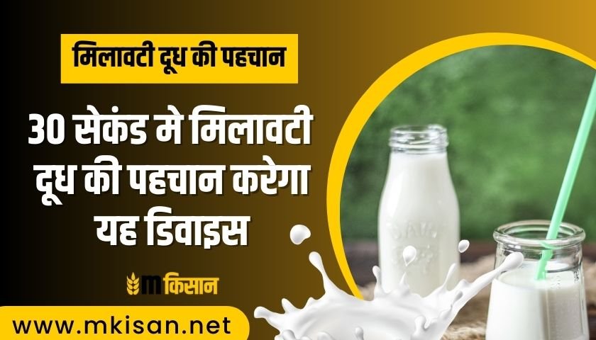 this-device-will-detect-adulterated-milk-in-30-seconds