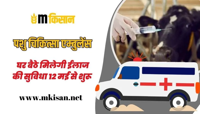introduction-of-veterinary-ambulance