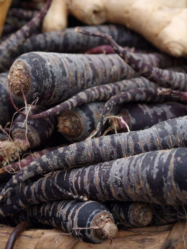 काली गाजर की खेती मार्केट में हमेशा बनी रहती है मांग
