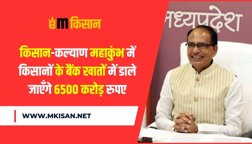 farmers-get-benefits-in-kisan-kalyan-mahakumbh