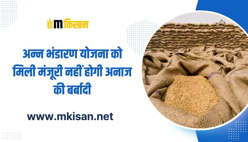 food-storage-scheme-approved