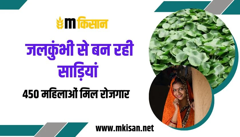 sarees-made-of-water-hyacinth