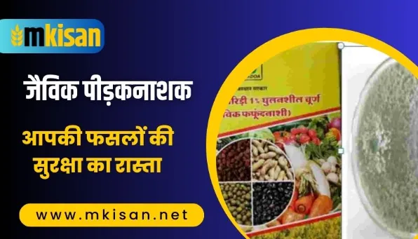 Pesticides-The-Way-To-Protect-Your-Crops.