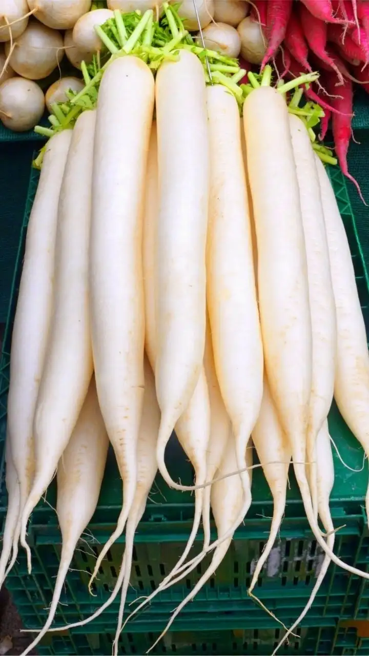 MKisan - मंडी भाव, खरीद-बिक्री, अंडा रेट