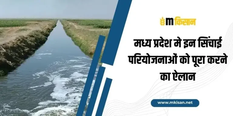 completion-of-these-irrigation-projects-in-mp