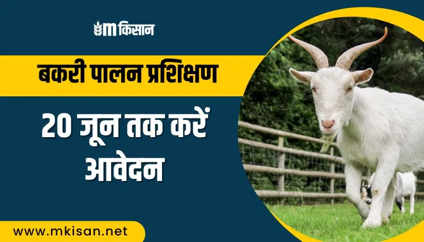 goat-farming-training