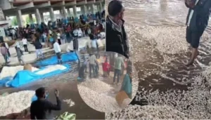 mandsaur neemuch ratlam mawthe barish