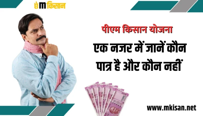 PM Kisan 24th Installment: 30 अक्टूबर को आएंगे ₹2,000, ऐसे चेक करें Beneficiary Status