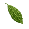 Bitter Gourd