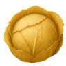 Cabbage